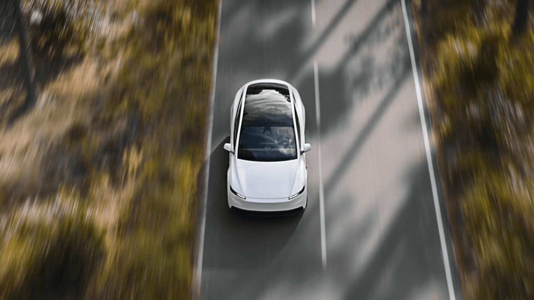 Tesla Model Y blanche vue plongeante sur route forestière